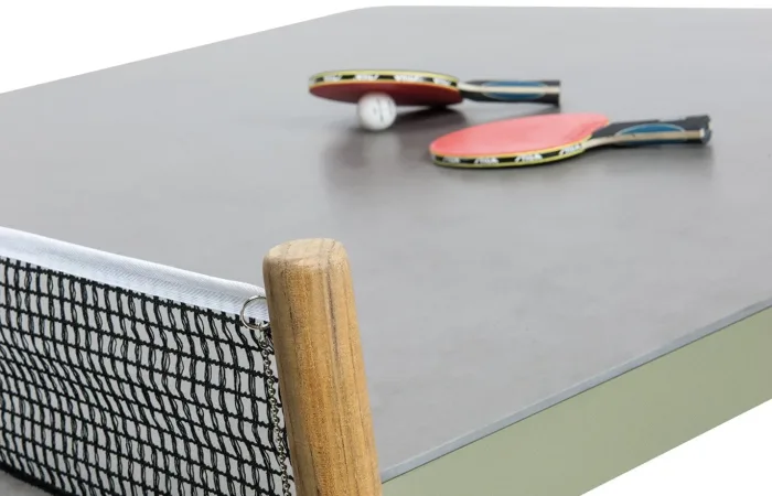 play diningping pong table ls4